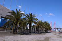 120410 17 RIMG2633.jpg